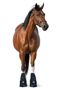 MACKINNON Therapy|Ice Horse® Medium Laminitis Pro Boot