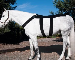 MACKINNON Therapy|Hoof & Hock Boots|Ice Horse® Pony Back Blanket