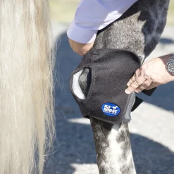 MACKINNON Therapy|Ice Horse® Pony Hock Wrap