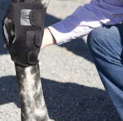 MACKINNON Therapy|Ice Horse® Pony Hock Wrap – Pair