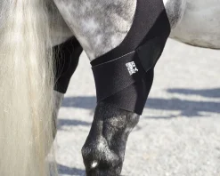 MACKINNON Therapy|Hoof & Hock Boots|Ice Horse® Pony Stifle Wraps – Pair