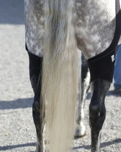 MACKINNON Therapy|Hoof & Hock Boots|Ice Horse® Pony Stifle Wraps – Pair