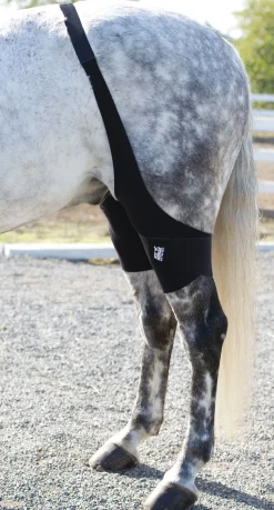 MACKINNON Therapy|Hoof & Hock Boots|Ice Horse® Stifle Wraps
