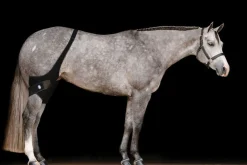 MACKINNON Therapy|Hoof & Hock Boots|Ice Horse® Stifle Wraps
