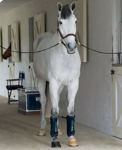 HORSEWARE Therapy|Hoof & Hock Boots|ICE-VIBE Boots