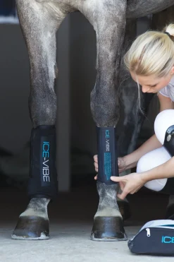 HORSEWARE Therapy|Hoof & Hock Boots|ICE-VIBE Boots