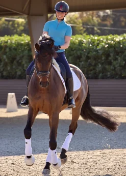 KIRSCH Short Sleeve Shirts|IconEQ™ Ladies’ Aurora Short Sleeve Shirt