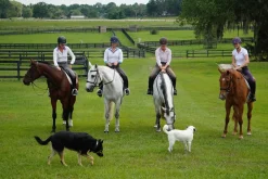 INT RIDING HELMET Riding Helmets|Riding Helmets|IRH® Equi-Pro Helmet with Sun Visor