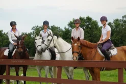 INT RIDING HELMET Riding Helmets|Riding Helmets|IRH® Equi-Pro Helmet with Sun Visor