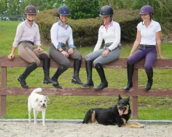 INT RIDING HELMET Riding Helmets|Riding Helmets|IRH® Equi-Pro Helmet with Sun Visor