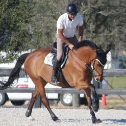 INT RIDING HELMET Riding Helmets|Riding Helmets|IRH® IR4G Helmet