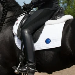 Kids TOKLAT ORIGINALS Kids' Breeches & Jods|Irideon® Kids’ Synergy Knee-Patch Tight