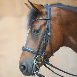 PEP-KAVALKADE English Bridles|Ivonne Convertible Bridle