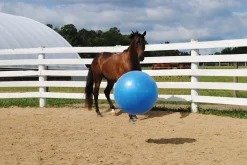 HORSEMEN S PRIDE Horse Toys|Jolly Mega Ball
