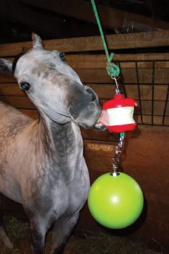 HORSEMEN S PRIDE Horse Toys|Stable & Stall Accessories|Jolly Stall Snack System Horse Toy