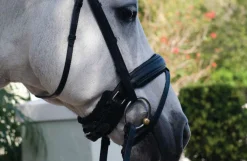 KATHY CONNELLY Bridle Parts & Accessories|Chin Pad