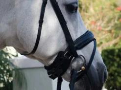 KATHY CONNELLY Bridle Parts & Accessories|Chin Pad