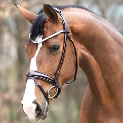 PEP-KAVALKADE English Bridles|Kavalkade Florina Bridle