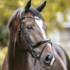 PEP-KAVALKADE English Bridles|Kavalkade Ivana Snaffle Bridle