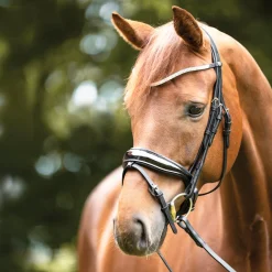 PEP-KAVALKADE Bridle Parts & Accessories|Kavalkade Princess Browband