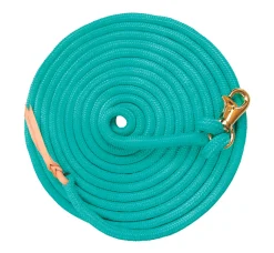 KENSINGTON Lunging & Training Equipment|™ 25' Clinician Training Lead