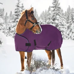 KENSINGTON Turnout Blankets|™ Adjustable Weanling Turnout Blanket