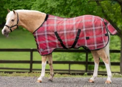 KENSINGTON Fly Control|Fly Sheets|™ Draft Protective Sheet SureFit®