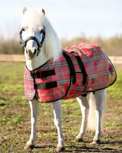 KENSINGTON Fly Control|Fly Sheets|™ Mini Signature Textilene® Protective Fly Sheet