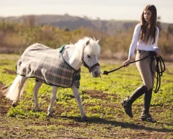 KENSINGTON Fly Control|Fly Sheets|™ Mini Signature Textilene® Protective Fly Sheet