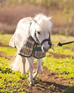 KENSINGTON Fly Control|Fly Sheets|™ Mini Signature Textilene® Protective Fly Sheet