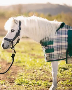 KENSINGTON Fly Control|Fly Sheets|™ Mini Signature Textilene® Protective Fly Sheet