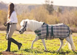 KENSINGTON Fly Control|Fly Sheets|™ Mini Signature Textilene® Protective Fly Sheet