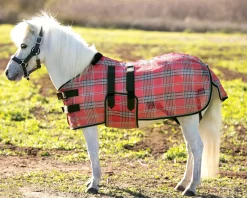 KENSINGTON Fly Control|Fly Sheets|™ Mini Signature Textilene® Protective Fly Sheet