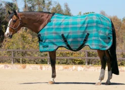 KENSINGTON Fly Control|Fly Sheets|™ Pony Protective Sheet SureFit®