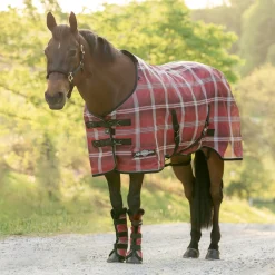 KENSINGTON Fly Control|Fly Sheets|™ Pony Protective Sheet SureFit®