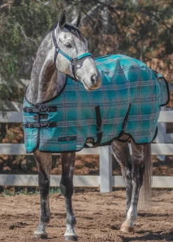 KENSINGTON Fly Control|Fly Sheets|™ Pony Protective Sheet SureFit®