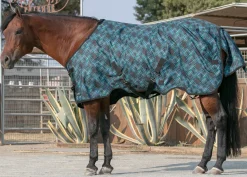 KENSINGTON Turnout Blankets|™ Pony Signature Medium Weight Turnout Blanket