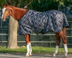 KENSINGTON Turnout Blankets|™ Pony Signature Medium Weight Turnout Blanket