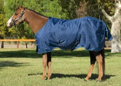 KENSINGTON Turnout Blankets|™ Pony Signature Medium Weight Turnout Blanket