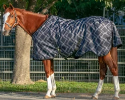 KENSINGTON Turnout Blankets|™ Pony Signature Heavyweight Turnout Blanket