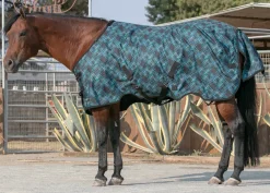 KENSINGTON Turnout Blankets|™ Pony Signature Heavyweight Turnout Blanket