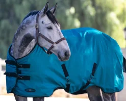 KENSINGTON Turnout Blankets|™ Pony Signature Heavyweight Turnout Blanket