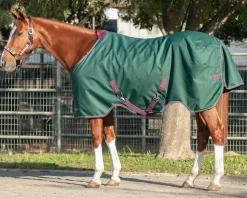 KENSINGTON Turnout Blankets|™ Pony Signature Heavyweight Turnout Blanket