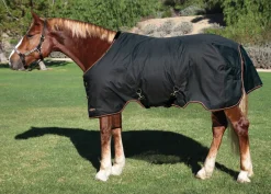 KENSINGTON Turnout Blankets|™ Pony Signature Lightweight Turnout Blanket