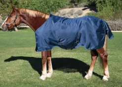KENSINGTON Turnout Blankets|™ Pony Signature Lightweight Turnout Blanket