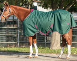 KENSINGTON Turnout Blankets|™ Pony Signature Lightweight Turnout Blanket