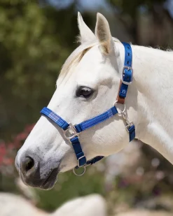 KENSINGTON Halters|™ Premium Breakaway Halter
