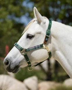 KENSINGTON Halters|™ Premium Breakaway Halter