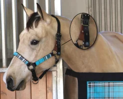 KENSINGTON Halters|™ Premium Breakaway Halter