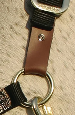 KENSINGTON Halters|™ Premium Breakaway Halter